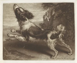 Perro corriendo, posiblemente un spaniel