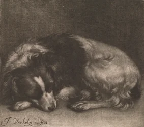Un perro dormido