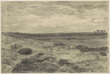 Paisaje de brezo cerca de Laren