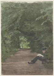 El hombre de la lectura en la avenida del bosque