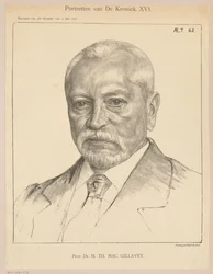 Retrato de Theodorus Hendrik Mac Gillavry a los 62 años