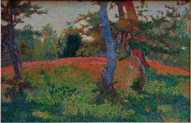 Despeje en el bosque
