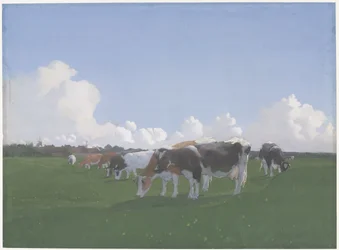 Vacas pastando en un prado