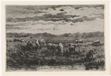 Paisaje con ovejas