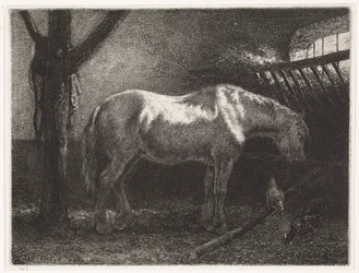 Caballo en establo