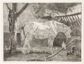 Caballo en establo