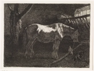 Caballo en el establo