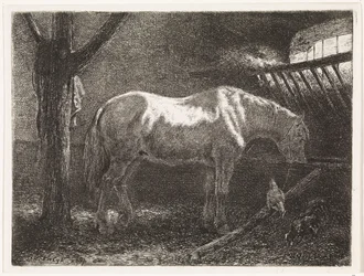 Caballo en el establo