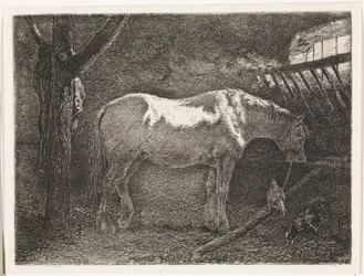 Caballo en el establo