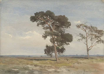 Vista del páramo con dos árboles