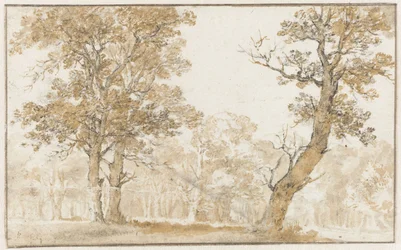 Bosque de La Haya