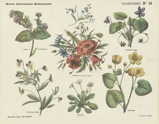 Flores de campo (título en el objeto)
Nuevos grabados infantiles holandeses (título de la serie en el objeto)