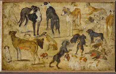 Estudios sobre animales (pintura sobre madera de roble)
