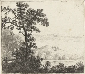 paisaje con arbol a la orilla de un rio