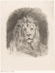 Cabeza de león