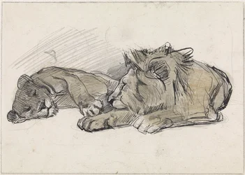 León y leona reclinados
