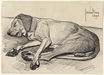 Perro dormido, a la izquierda