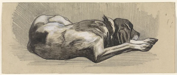 Perro dormido, a la derecha