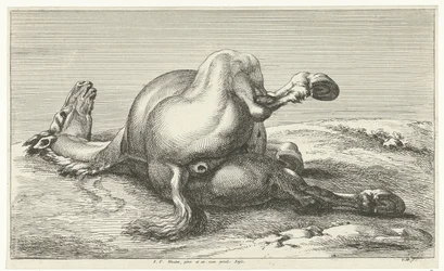 caballo caído Caballos muertos (título de la serie)
