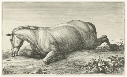 Caballo muerto acostado sobre su vientre Caballos muertos (título de la serie)