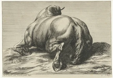 Caballo caído sobre el vientre visto desde atrás Caballos muertos (título de la serie)