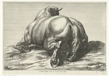 Caballo caído sobre el vientre visto desde atrás Caballos muertos (título de la serie)
