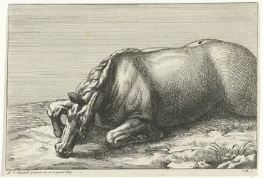 Caballo muerto visto en el lado izquierdo Caballos muertos (título de la serie)