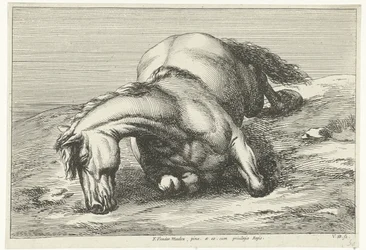 Caballo muerto acostado sobre el lado derecho Caballos muertos (título de la serie)