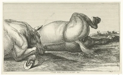 Dos caballos muertos tirados en fila Caballos muertos (título de la serie)
