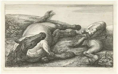 Dos caballos caídos, el izquierdo visto de frente Caballos muertos (título de la serie)