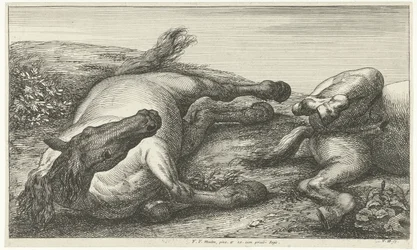 Dos caballos caídos, el izquierdo visto de frente Caballos muertos (título de la serie)