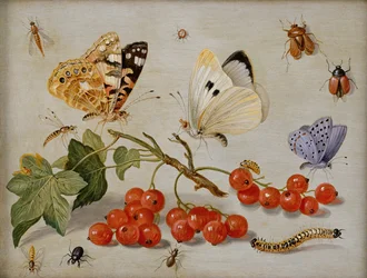 Naturaleza muerta con ramita de grosellas rojas, mariposas, escarabajos, oruga e insectos