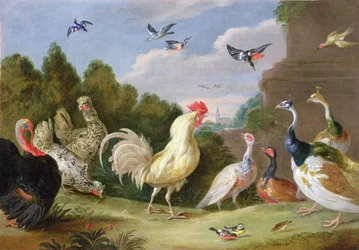 Paisaje boscoso con un gallo, un pavo, gallinas y otras aves, siglo XVII