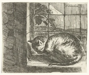Gato en el marco de la ventana