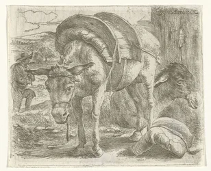 Pakezel