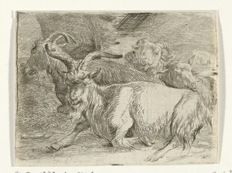 Dos cabras y dos ovejas