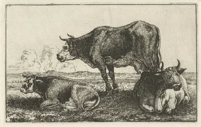tres vacas Animales (título de la serie) Zoographiam (título de la serie)