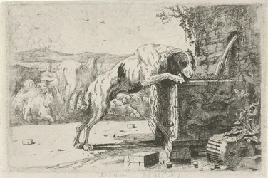 perro en una fuente Animales (título de la serie) Zoographiam (título de la serie)