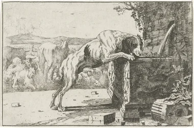 perro en una fuente Animales (título de la serie) Zoographiam (título de la serie)