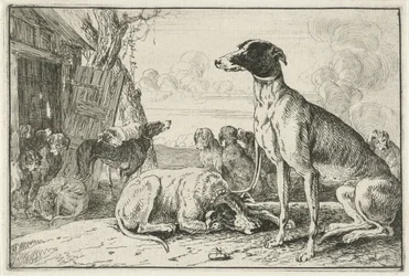perrera Animales (título de la serie) Zoographiam (título de la serie)