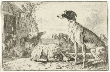 perrera Animales (título de la serie) Zoographiam (título de la serie)