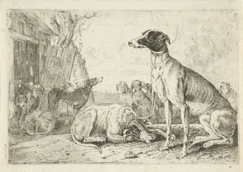 perrera Animales (título de la serie) Zoographiam (título de la serie)