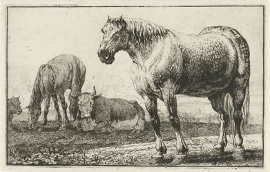 caballos y vacas Animales (título de la serie) Zoographiam (título de la serie)