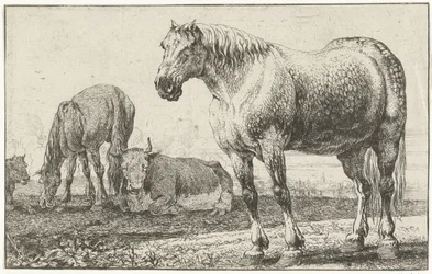caballos y vacas Animales (título de la serie) Zoographiam (título de la serie)