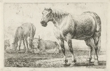 caballos y vacas Animales (título de la serie) Zoographiam (título de la serie)