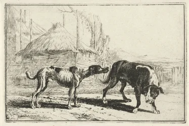 Hombre y mujer Animales (título de la serie) Zoographiam (título de la serie)