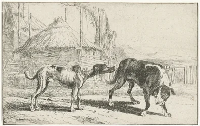 Hombre y mujer Animales (título de la serie) Zoographiam (título de la serie)