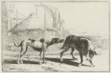 Hombre y mujer Animales (título de la serie) Zoographiam (título de la serie)