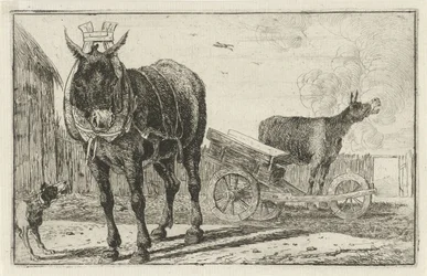 dos burros Animales (título de la serie) Zoographiam (título de la serie)