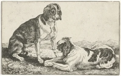 Dos perros descansando Animales (título de la serie) Zoographiam (título de la serie)